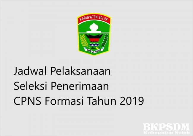 Jadwal Pelaksanaan Seleksi Penerimaan CPNS FormasiTahun 2019