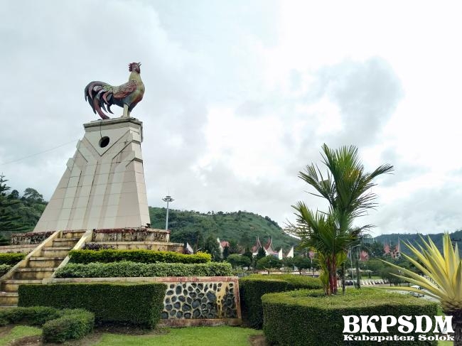 Peta Jabatan di Lingkungan Pemerintah Kabupaten Solok