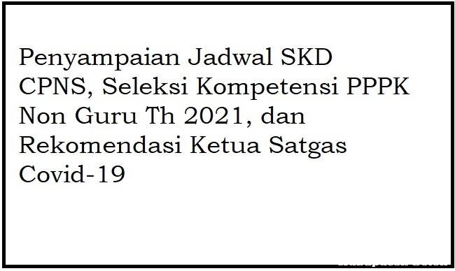 Jadwal SKD CPNS, Seleksi Kompetensi PPPK Non Guru Th 2021, dan Rekomendasi Ketua Satgas Covid-19