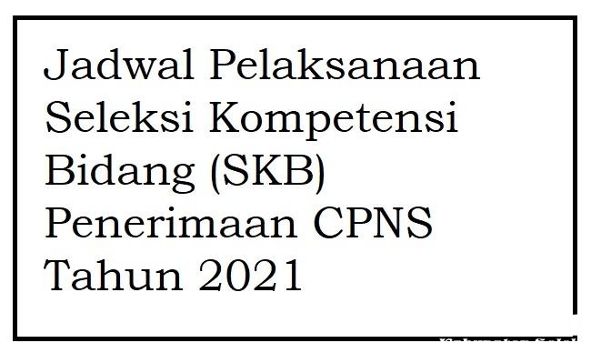 Jadwal Pelaksanaan Seleksi Kompetensi Bidang (SKB) Penerimaan CPNS Th 2021